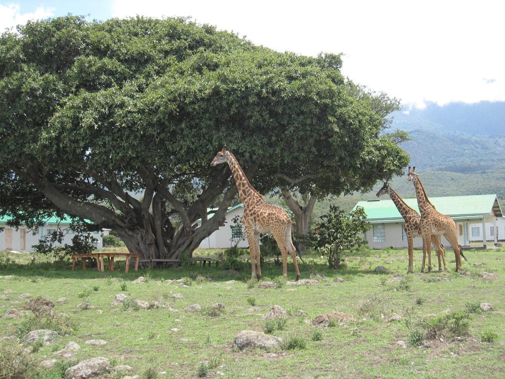 Nature Homes - Africa Amini Life Nkoanrua Экстерьер фото