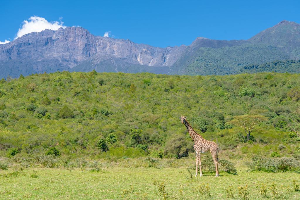 Nature Homes - Africa Amini Life Nkoanrua Экстерьер фото