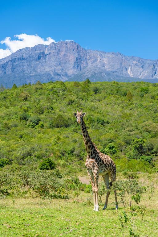 Nature Homes - Africa Amini Life Nkoanrua Экстерьер фото