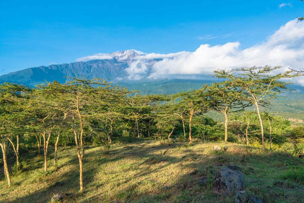 Nature Homes - Africa Amini Life Nkoanrua Экстерьер фото